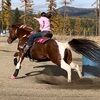 cowgirlss517